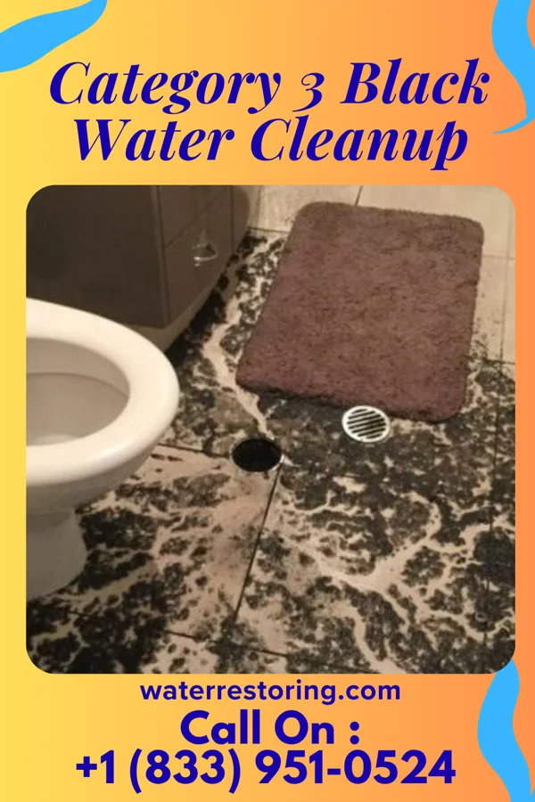 Category 3 Black Water Cleanup in Freedom Acres, AZ